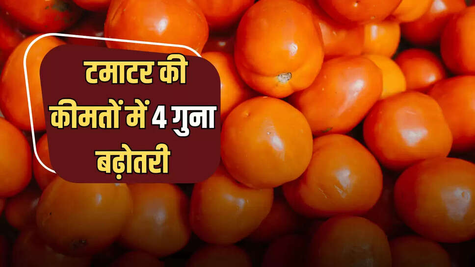 Yamunanagar news, Vegetable Market, Tomato prices, haryana news