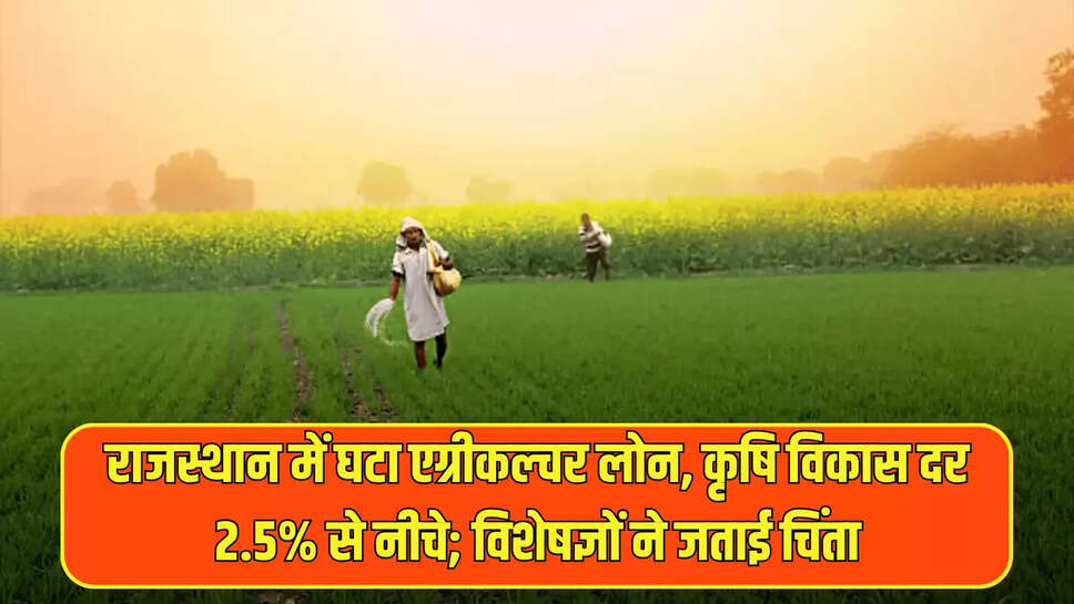 Agriculture Loan in Rajasthan