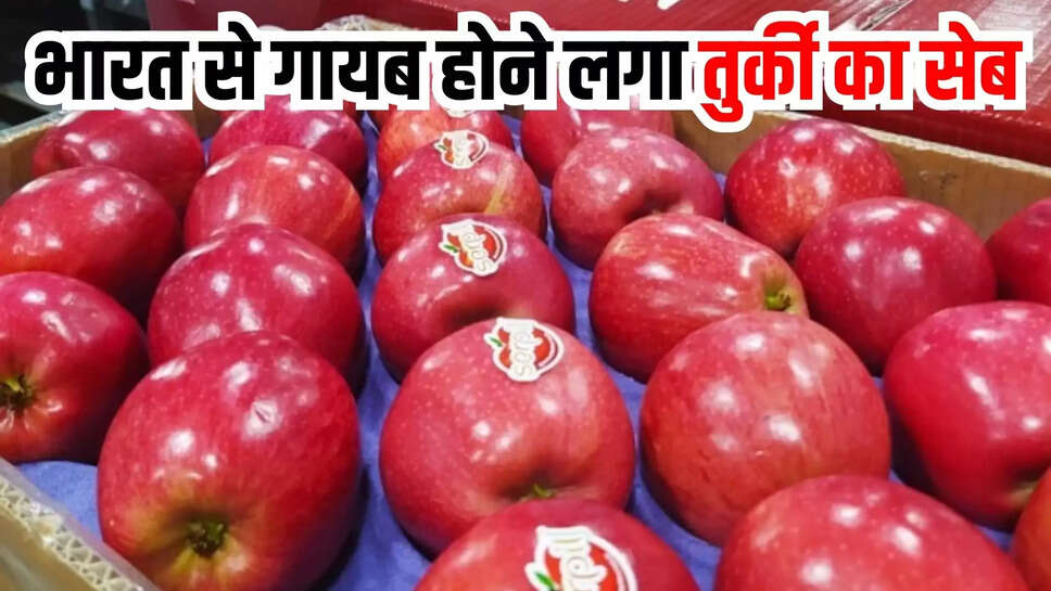 boycott turkish apple