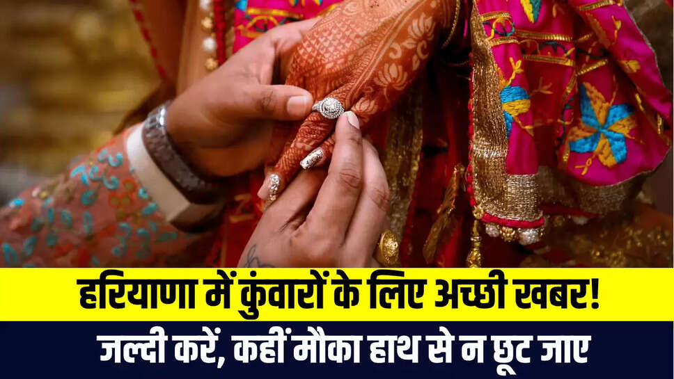 Haryana News