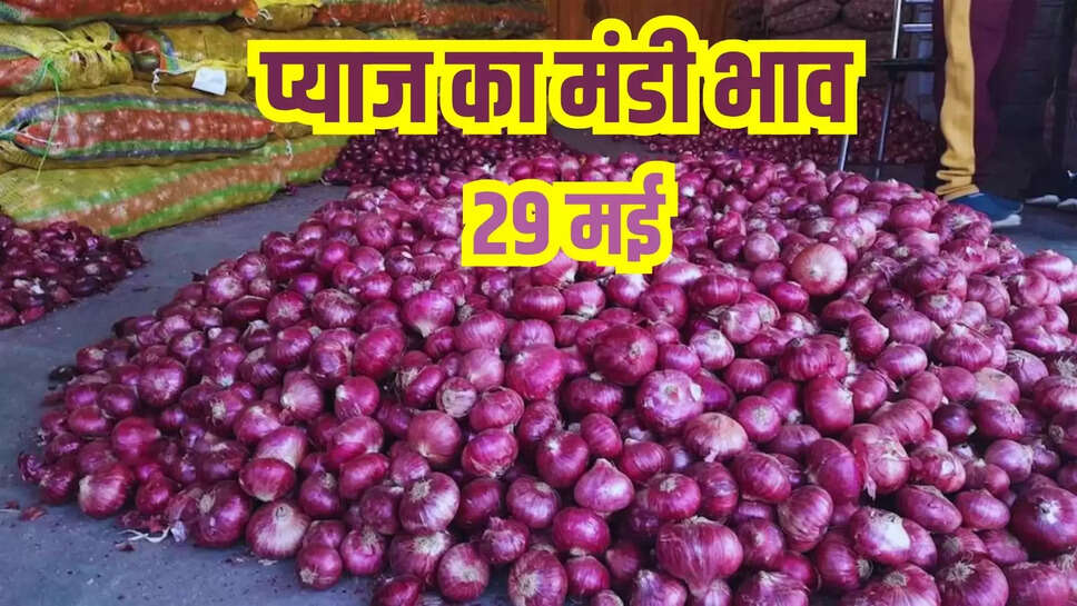 pyaj mandi bhav 29 may