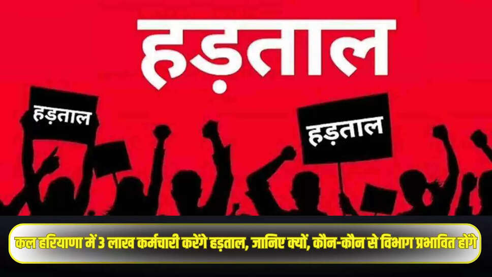 Haryana News
