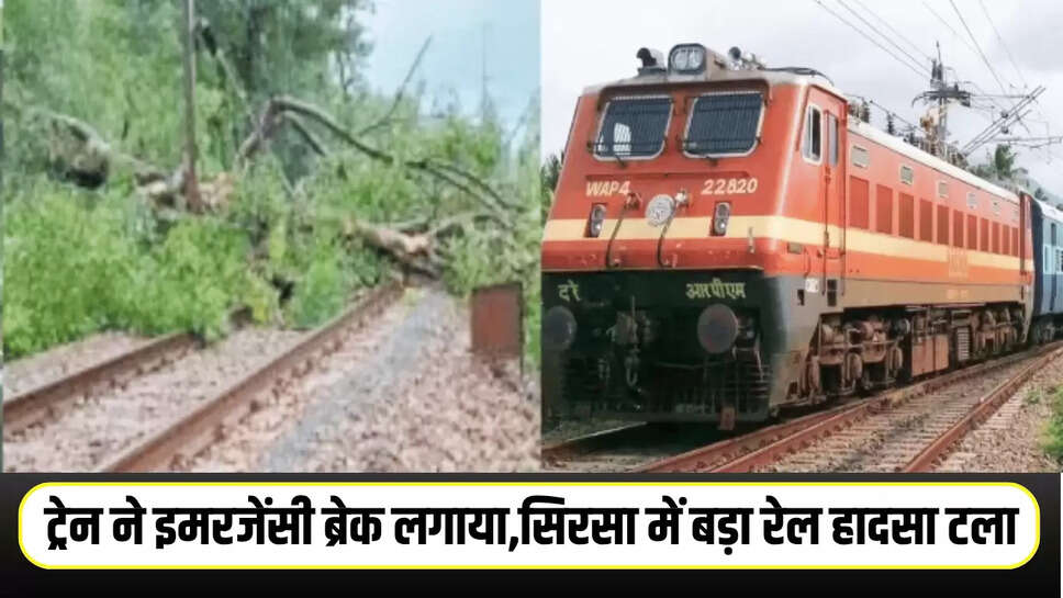 Haryana News