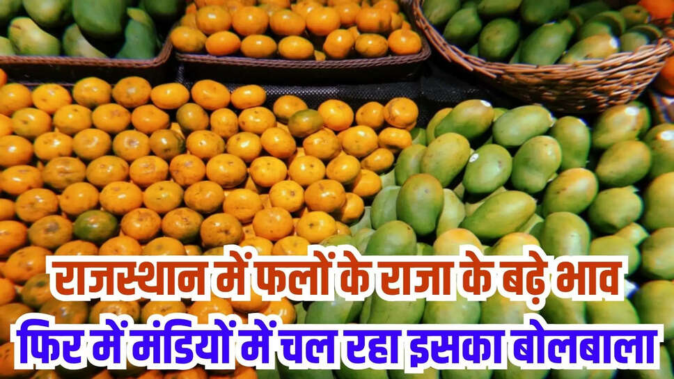 Rajasthan Mango Price Today
