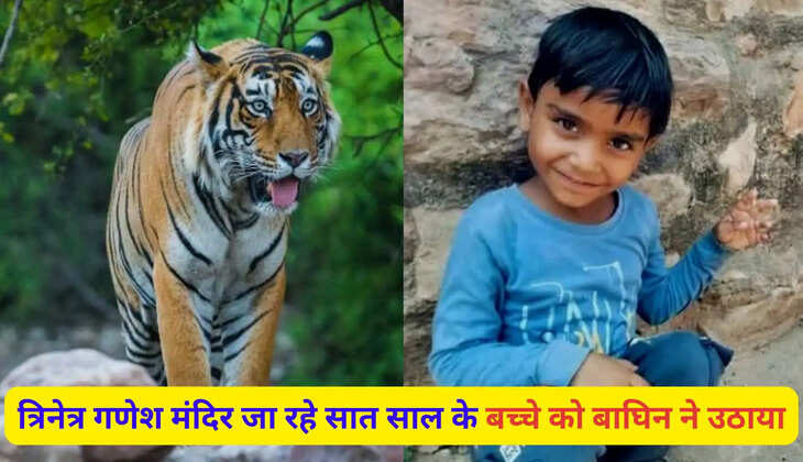 ranthambore tiger attack