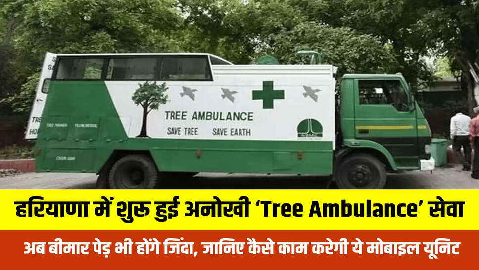 Tree Ambulance