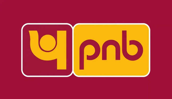 PNB बैंक इन खातों को करने जा रहा है बंद, जल्दी करें ये काम वरना अगला नंबर होगा आपका 
