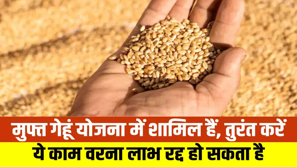 Punjab News