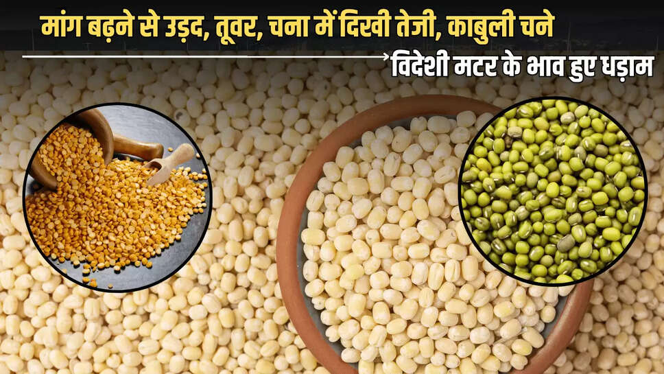 2 जुलाई को मांग बढ़ने से उड़द, तूवर, चना में दिखी तेजी, काबुली चने विदेशी मटर के भाव हुए धड़ाम, जानें बाकी फसलों के ताजा मंडी भाव 