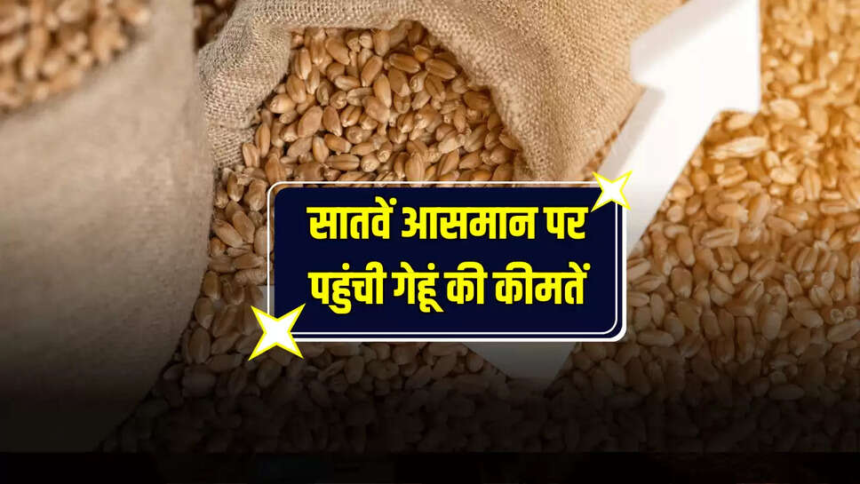 सातवें आसमान पर पहुंची गेहूं की कीमतें