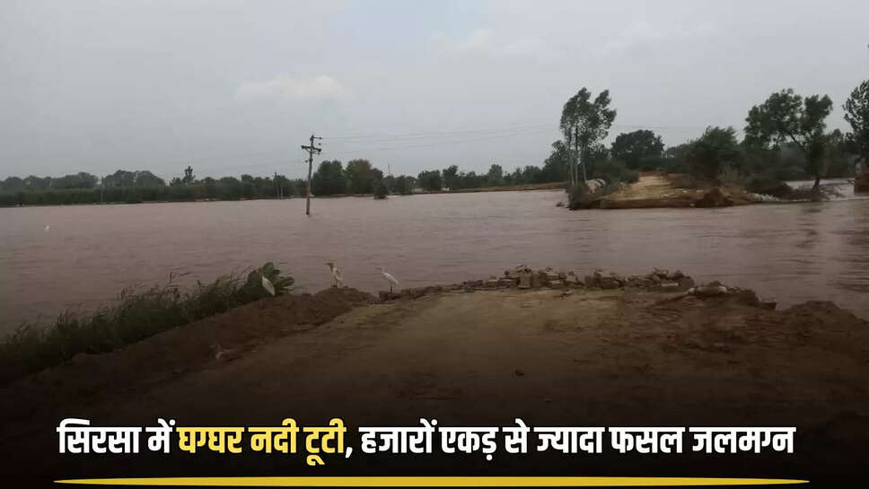 सिरसा में घग्घर नदी  लगातार ओवरफ्लो चल रही है।  लगातार बढ़ते जलस्तर से किसान परेशान थे।  अब हजारों एकड़ फसल तबाह होने कि कगार पर है।  6 महीने कि मेहनत मिनटों में तबाह हो गई।  