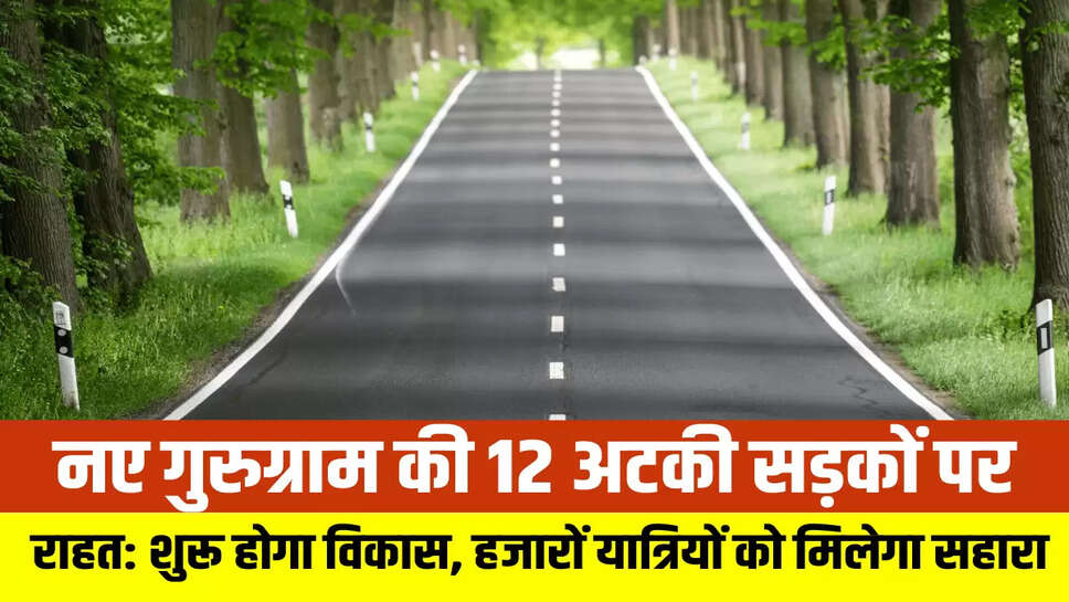 Haryana News