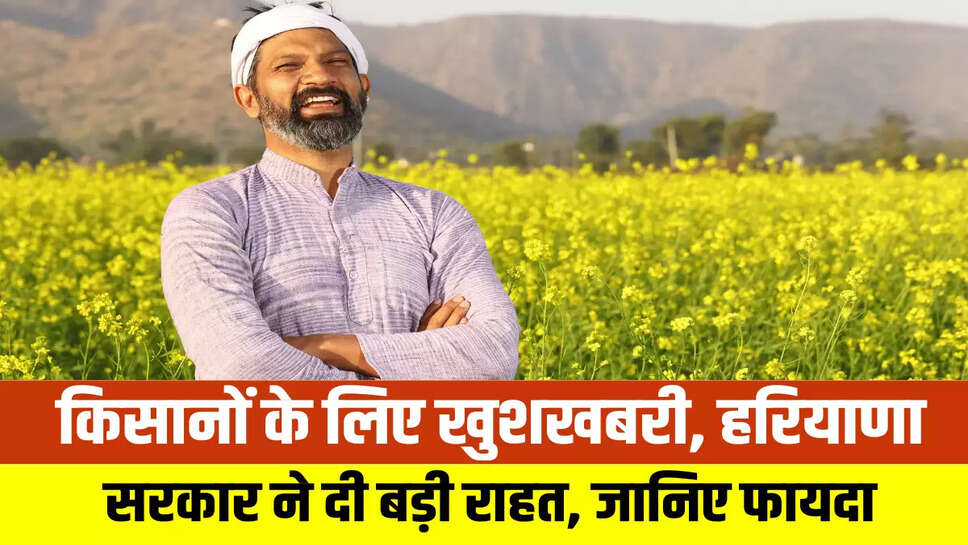 Haryana News
