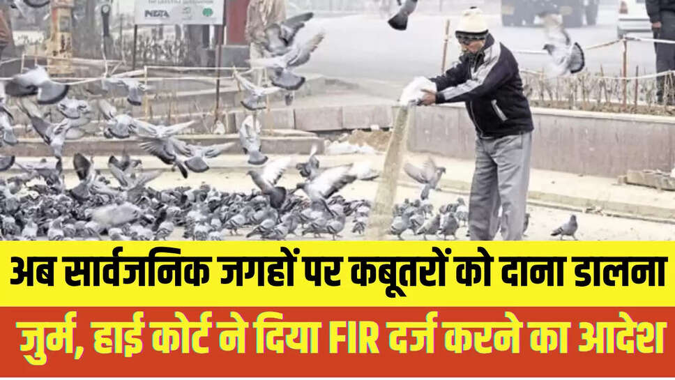 Feeding Pigeons