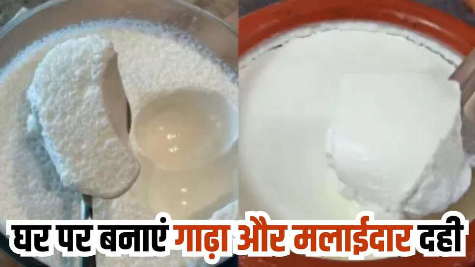 curd making process