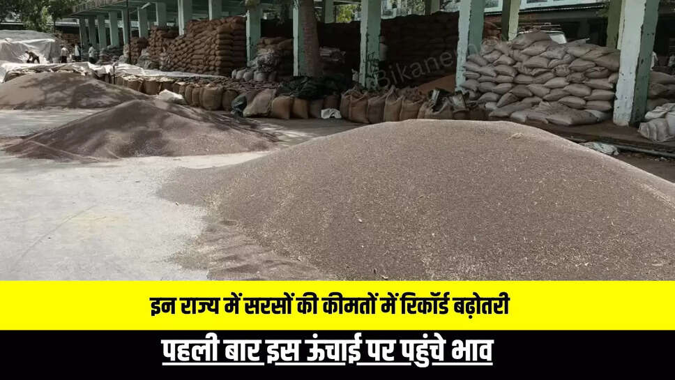 Mustard Prices Hike: राजस्थान समेत इन राज्य में सरसों की कीमतों में रिकॉर्ड बढ़ोतरी, पहली बार इस ऊंचाई पर पहुंचे भाव 