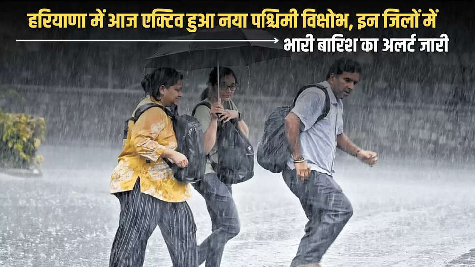 Western disturbance will be active in Haryana today, Haryana hindi news, 