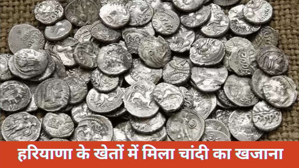 Haryana News