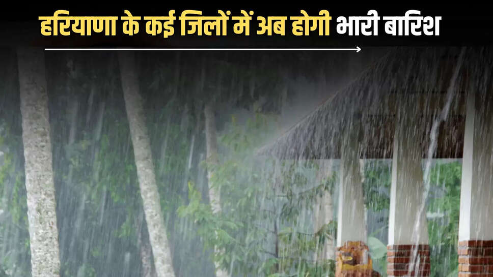 Haryana Weather Update : हरियाणा में मानसून की एंट्री, कई जिलों में अब होगी भारी बारिश 
