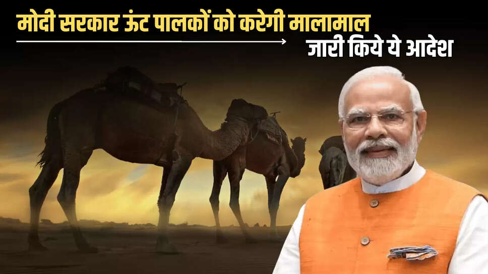 मोदी सरकार ऊंट पालकों को करेगी मालामाल, केंद्र सरकार ने जारी किये ये आदेश 