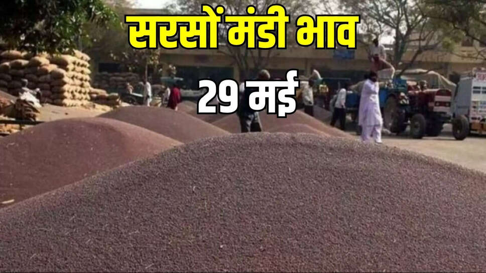 sarson mandi bhav 29 may