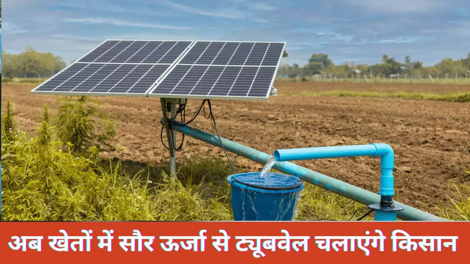 Haryana News