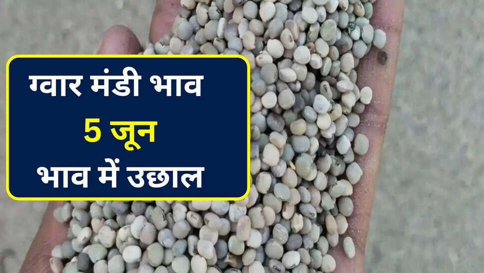Guar mandi bhav today 5 june