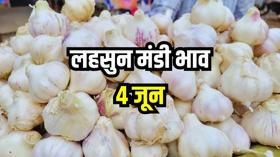 lahsun mandi bhav today 4 june