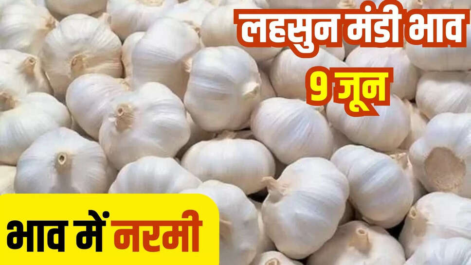 lahsun mandi bhav today 9 june