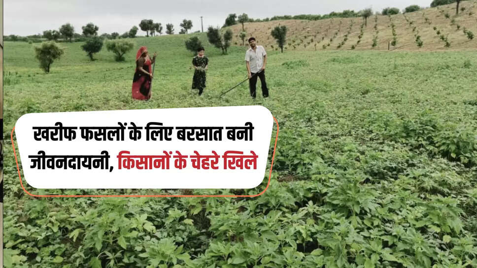 Rajasthan: खरीफ फसलों के लिए बरसात बनी जीवनदायनी, किसानों के चेहरे खिले, फसलों में लौटी रौनक