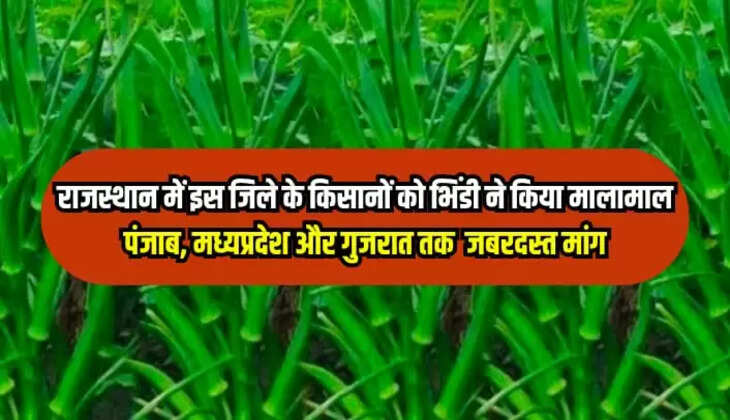 भिंडी 