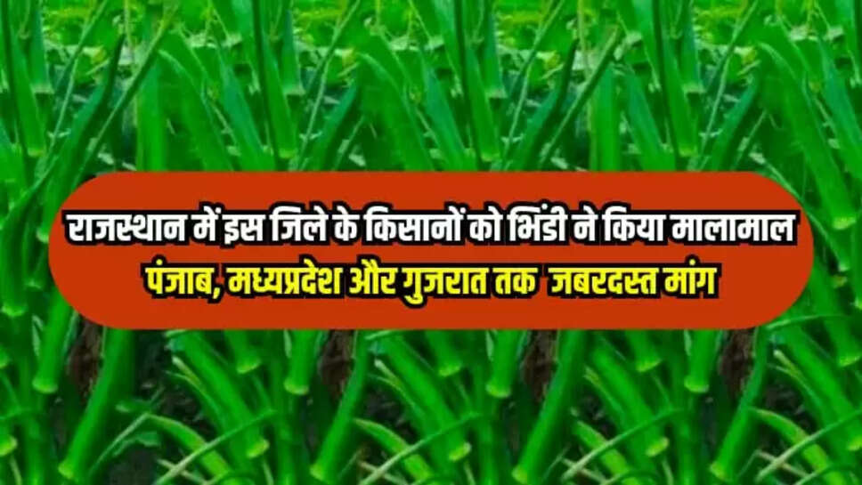  भिंडी 