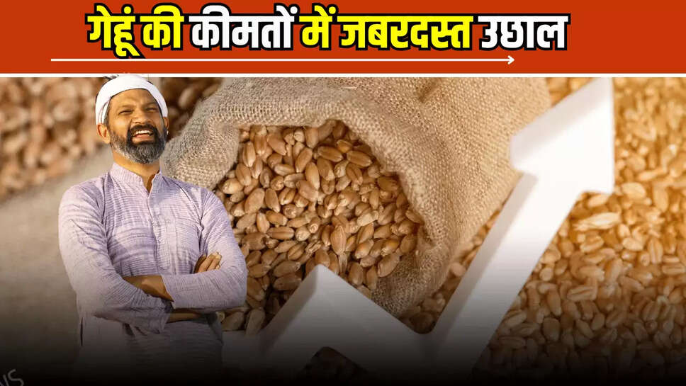 Wheat Price Hike: गेहूं की कीमतों में जबरदस्त उछाल, जानें अब प्रति क्विंटल की नई कीमतें 