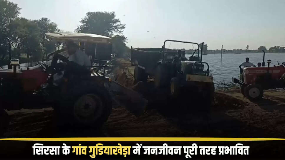 सिरसा के गांव गुडियाखेड़ा में जनजीवन पूरी तरह प्रभावित, ढाणियों में बने मकान हो रहे क्षतिग्रस्त...800 एकड़ फसल जलमग्न