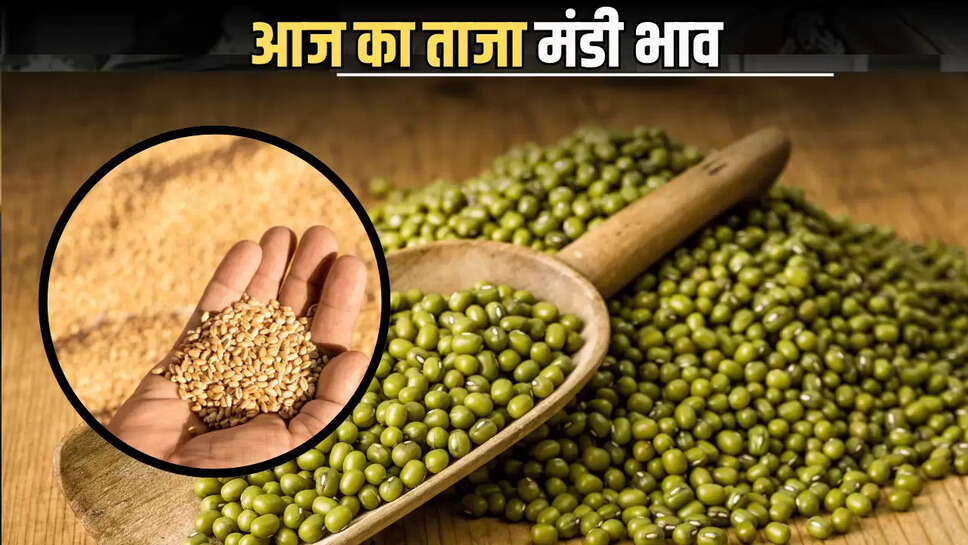 Mandi Bhav 26 June : किसानों के लिए बड़ी ख़ुशख़बरी, मुंग की कीमतों में भारी उछाल, जानें आज का ताजा मंडी भाव 