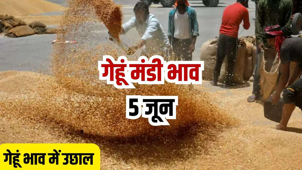 gehun mandi bhav today 5 june