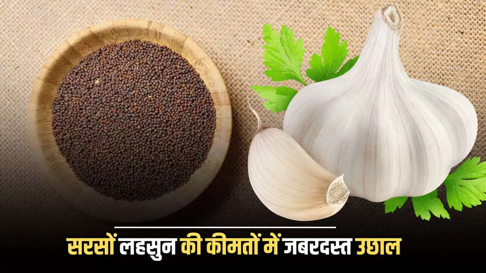 Kota Mandi Bhav : सरसों, लहसुन की कीमतों में जबरदस्त उछाल, जानें आज बाकि फसलों के ताजा मंडी भाव 