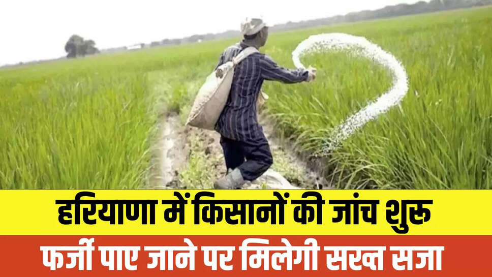Haryana Farmer