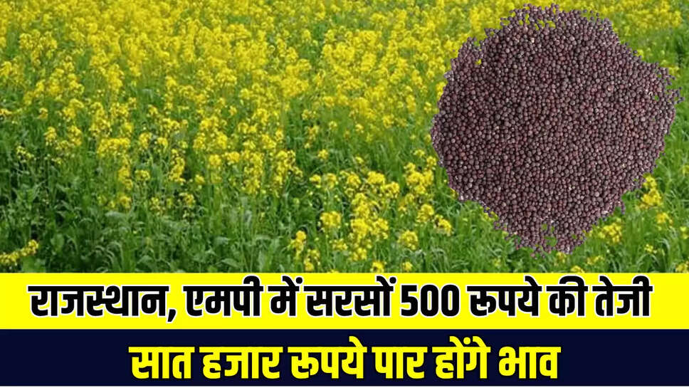 Taza Mandi Bhav