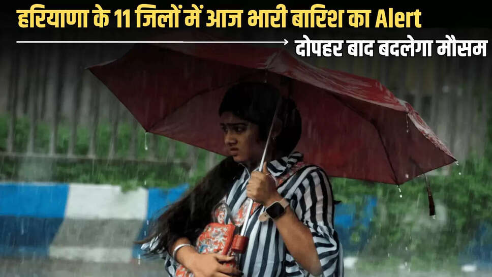 Orange alert for rain in 11 districts of Haryana, haryana new