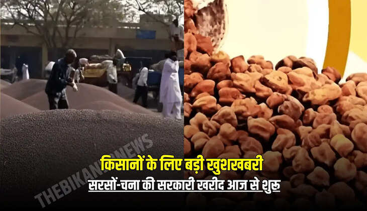 सरसों-चना की सरकारी खरीद आज से शुरू