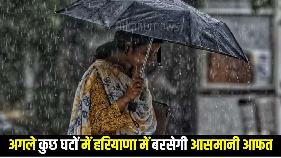 Rain Alert: अगले कुछ घटों में हरियाणा में बरसेगी आसमानी आफत, घर से निकलने से पहले करें चेक 