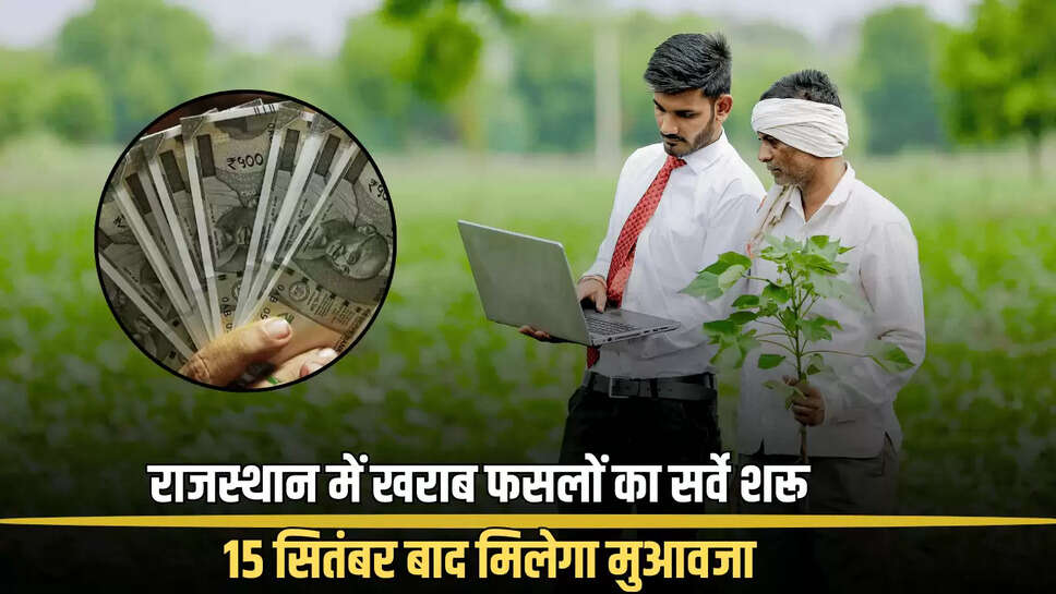 Rajasthan News,Jhalawar News,Minister Kirori Lal Meena,Agriculture Minister Kirori Lal action,Kirori Lal in Jhalawar Piplodi,Jhalawar crops damaged,Rajasthan crops damaged due to rain,Rajasthan action on fertilizer and seeds,Rajasthan heavy rain,Rajasthan latest news,Rajasthan news in Hindi,Compensation to farmers,crop loss survey begins,राजस्थान न्यूज,झालावाड़ न्यूज,मंत्री किरोड़ी लाल मीणा,&amp;nbsp;कृषि मंत्री किरोड़ी लाल कार्रवाई,झालावाड़ पिपलोदी में किरोड़ी लाल,झालावाड़ फसले खराब,राजस्थान बारिश से फसल खराब