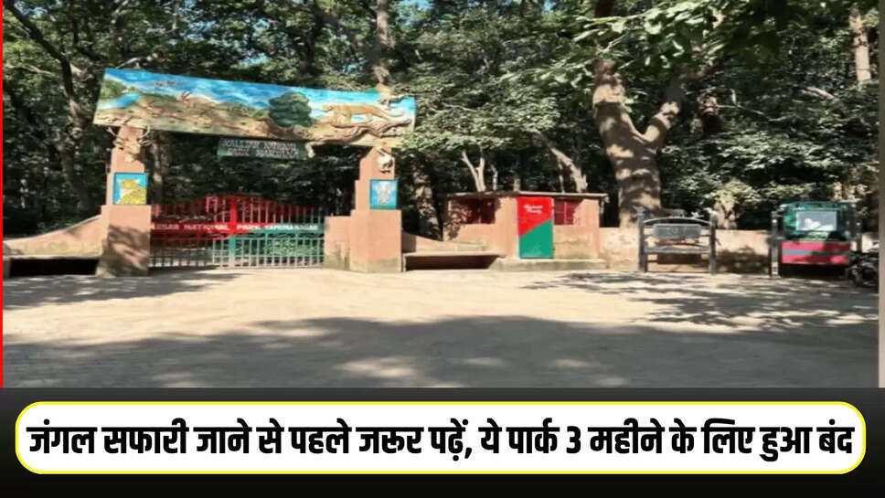 Haryana News: