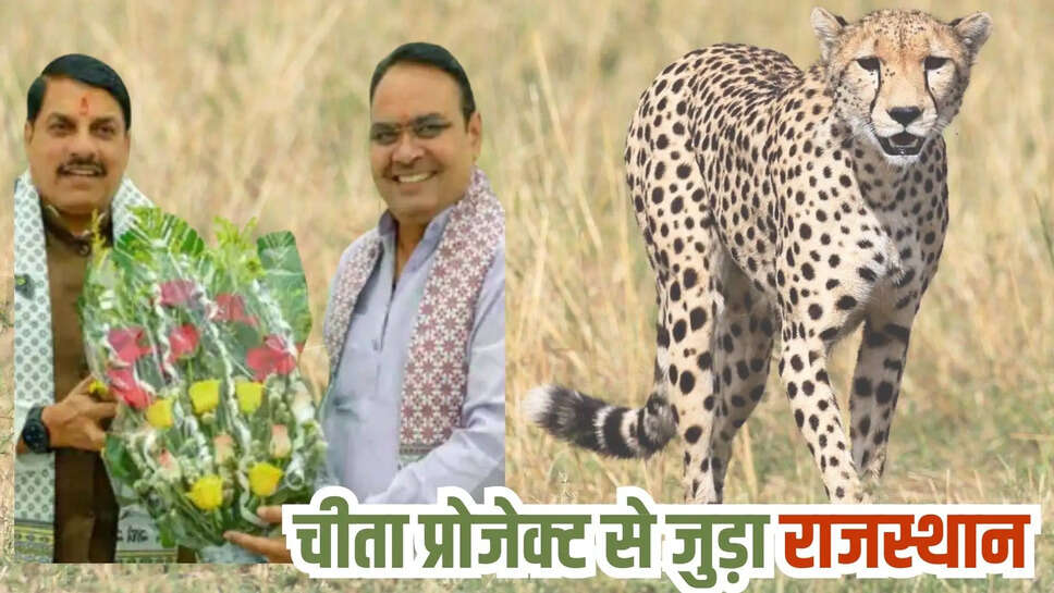 rajasthan news