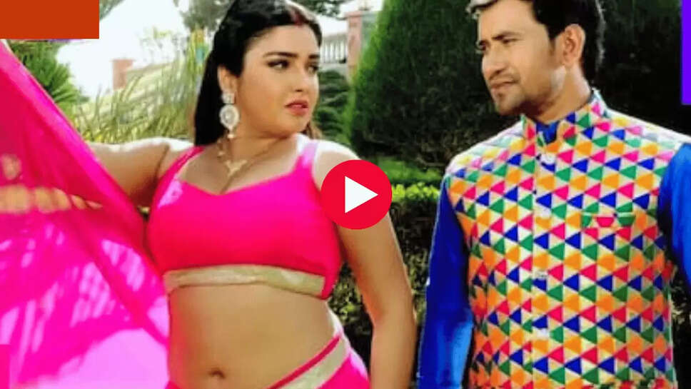 Bhojpuri Song: साड़ी का पल्लू गिरा आम्रपाली ने निरहुआ के साथ फेन्स को भी बनाया दीवाना, देखें रोमांटिक Video