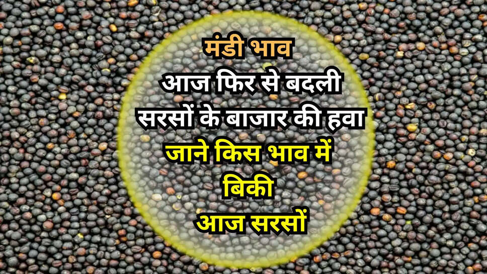 sarson mandi bhav 28 may