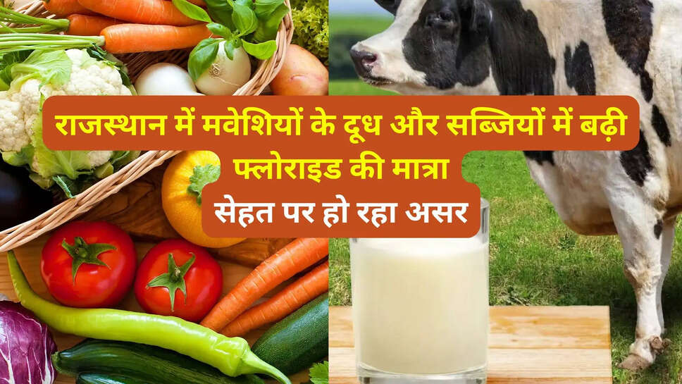 rajasthan khabar