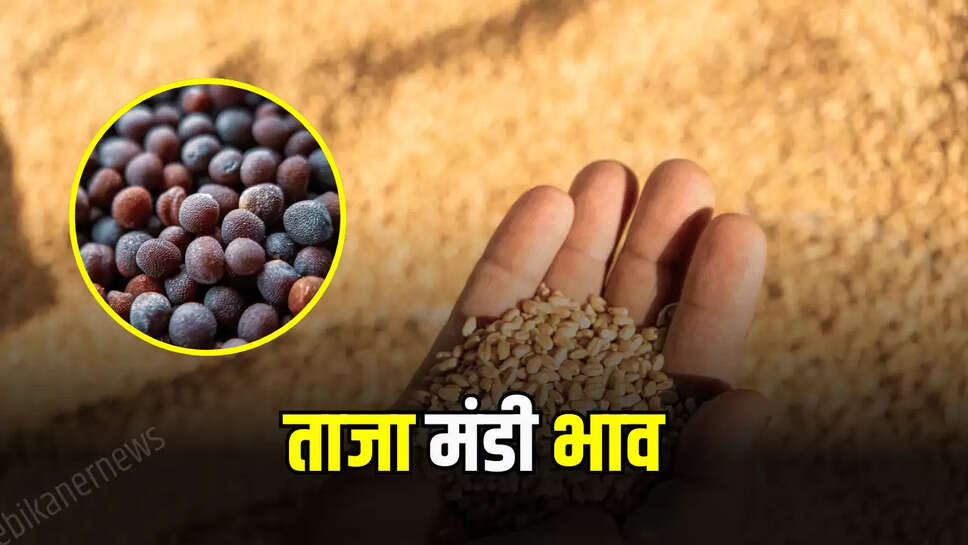mandi bhav 