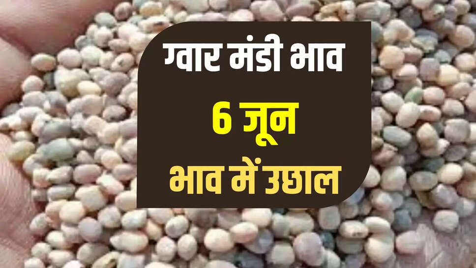 guar mandi bhav today 6 june